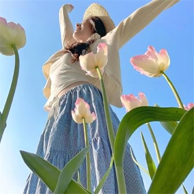 安斯·阿琪